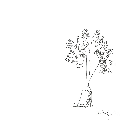 Andalu' leg. Illustration for Casita 26 by Virgínia Jiménez Perez.